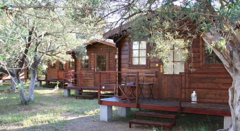 Assos Club Beyaz, +16