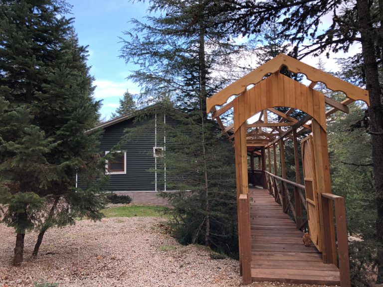 Başkonuş Yaylası Orman Evleri