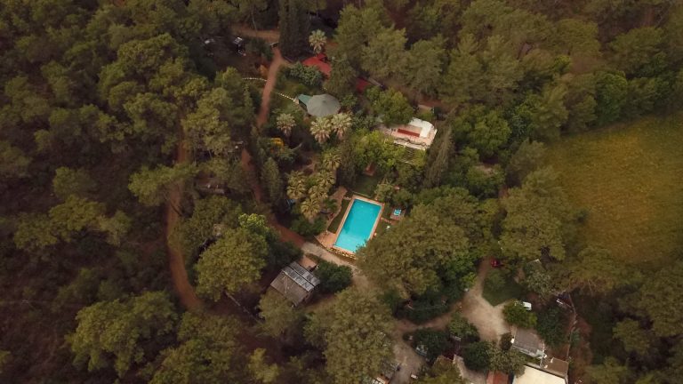 Club Amazon Bördübet