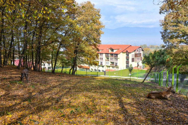 Gazelle Resort & Spa Otel