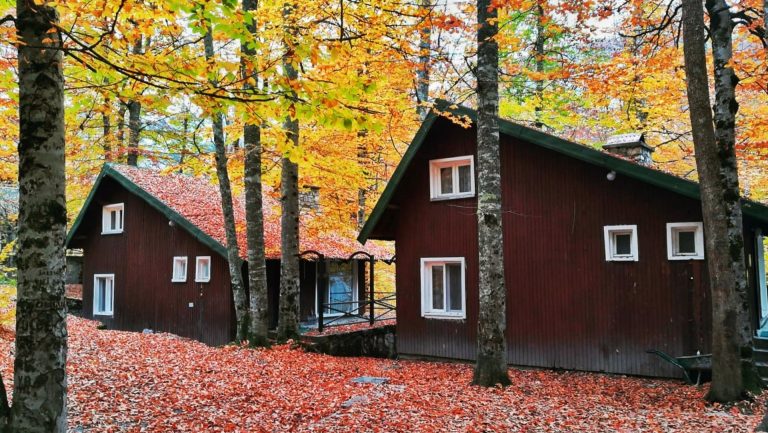 Habitat Mesire Bungalov Evleri Yedigöller