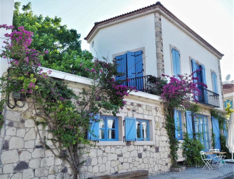 Kurabiye Alaçatı, +12