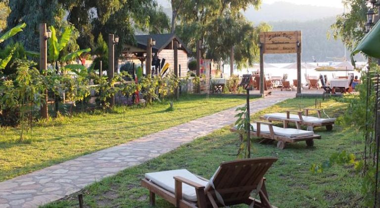 Sakin Vadi Winehouse